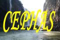 Cephas